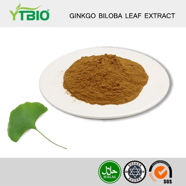 Ginkgo Biloba Leaf Extract pulver