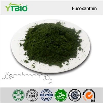 Fucoxanthin pulver