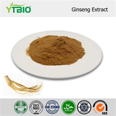 Ginseng ekstrakt pulver
